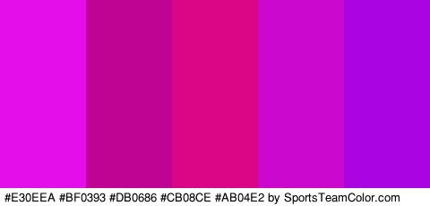 #E30EEA #BF0393 #DB0686 #CB08CE #AB04E2 Colors