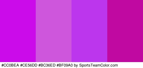 #CC0BEA #CE56DD #BC36ED #BF09A0 Colors