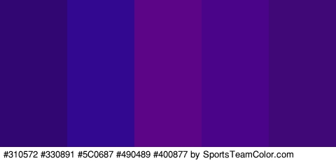 #310572 #330891 #5C0687 #490489 #400877 Colors