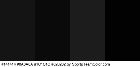 #141414 #0A0A0A #1C1C1C #020202 Colors