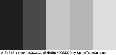 #1E1E1E #494949 #C6C6C6 #B5B5B5 #DDDDDD Colors