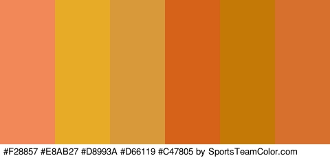 #F28857 #E8AB27 #D8993A #D66119 #C47805 #D6702C Colors