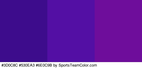 #3D0C8C #530EA3 #6E0C9B Colors