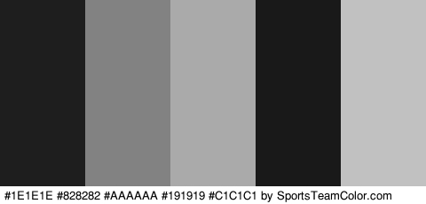 #1E1E1E #828282 #AAAAAA #191919 #C1C1C1 Colors