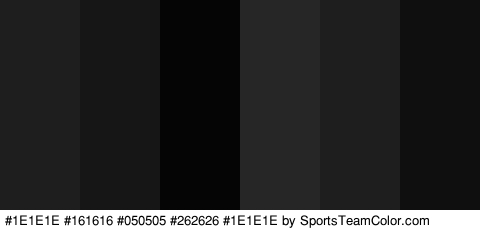 #1E1E1E #161616 #050505 #262626 #1E1E1E #0F0F0F Colors