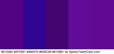 #510282 #2F0591 #460470 #600C99 #610891 Colors