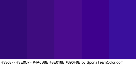 #330877 #3E0C7F #4A0B8E #3E018E #390F9B Colors