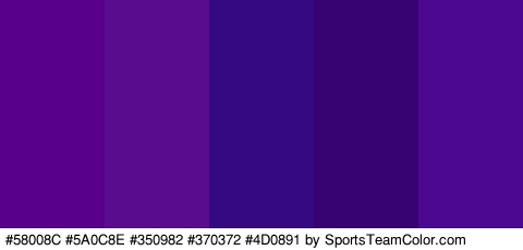 #58008C #5A0C8E #350982 #370372 #4D0891 Colors