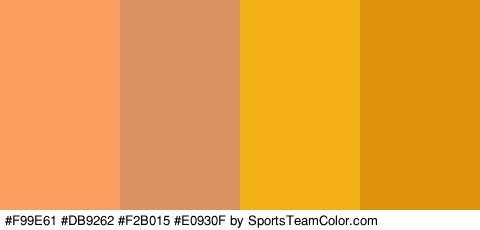 #F99E61 #DB9262 #F2B015 #E0930F Colors