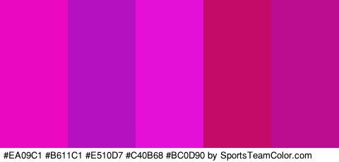 #EA09C1 #B611C1 #E510D7 #C40B68 #BC0D90 Colors