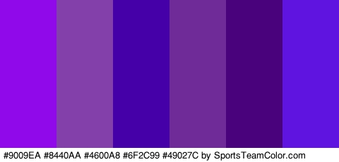 #9009EA #8440AA #4600A8 #6F2C99 #49027C #5F14E0 Colors