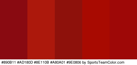 #890B11 #AD180D #8E110B #A80A01 #9E0806 Colors