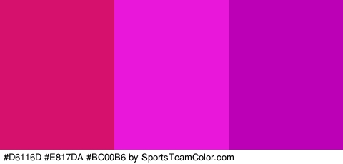 #D6116D #E817DA #BC00B6 Colors