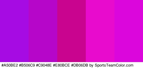 #A50BE2 #B506C9 #C9048E #E80BCE #DB06DB Colors