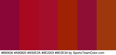 #890636 #A80820 #A50E2A #9E2203 #8E0E34 #9E380C Colors