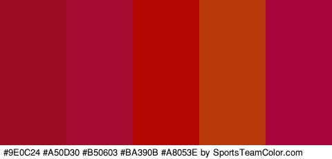 #9E0C24 #A50D30 #B50603 #BA390B #A8053E Colors