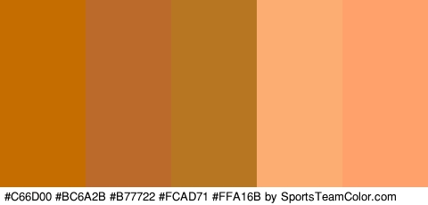 #C66D00 #BC6A2B #B77722 #FCAD71 #FFA16B Colors