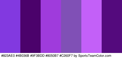 #823AE0 #4B036B #9F3BDD #8050B7 #C260F7 #54097C Colors