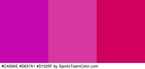 #C409AE #D637A1 #D1025F Colors