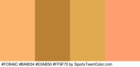 #FCB46C #BA8034 #E0AB50 #FF9F70 Colors