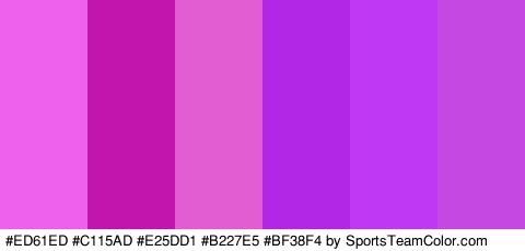 #ED61ED #C115AD #E25DD1 #B227E5 #BF38F4 #C648E2 Colors