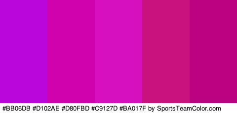 #BB06DB #D102AE #D80FBD #C9127D #BA017F Colors