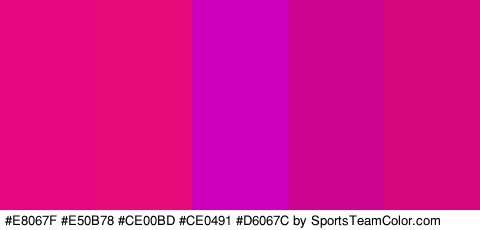 #E8067F #E50B78 #CE00BD #CE0491 #D6067C Colors