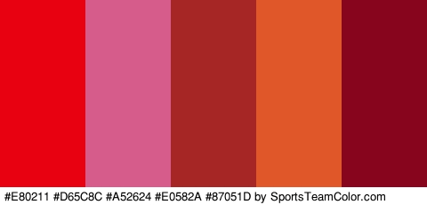 #E80211 #D65C8C #A52624 #E0582A #87051D Colors