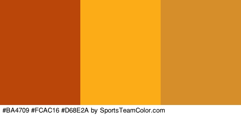 #BA4709 #FCAC16 #D68E2A Colors