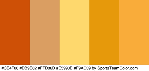 #CE4F06 #DB9E62 #FFD86D #E5990B #F9AC39 Colors