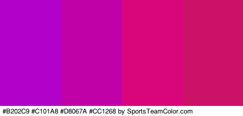 #B202C9 #C101A8 #D8067A #CC1268 Colors