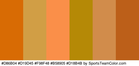 #D86B04 #D19D45 #F98F48 #B58905 #D18B4B #BC5F18 Colors