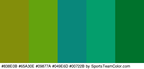 #838E0B #65A30E #09877A #049E6D #00722B Colors