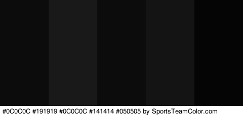 #0C0C0C #191919 #0C0C0C #141414 #050505 Colors