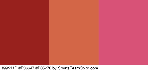 #99211D #D36647 #D85278 Colors