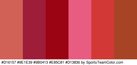 #D16157 #9E1E39 #9B0413 #E85C81 #D13836 #A84426 Colors