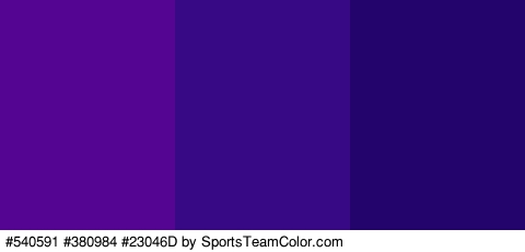 #540591 #380984 #23046D Colors