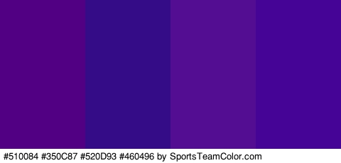 #510084 #350C87 #520D93 #460496 Colors