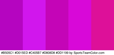 #B505C1 #D015ED #C405B7 #D808D8 #DD1199 Colors