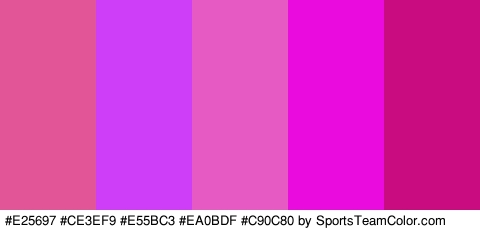 #E25697 #CE3EF9 #E55BC3 #EA0BDF #C90C80 Colors