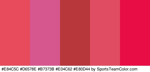 #E84C5C #D6578E #B7373B #E04C62 #E80D44 Colors