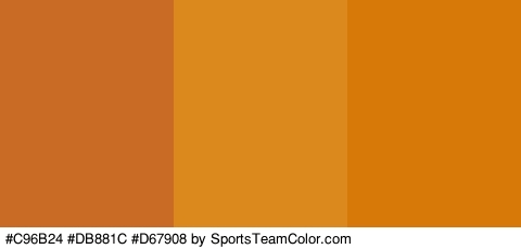 #C96B24 #DB881C #D67908 Colors