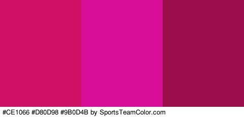 #CE1066 #D80D98 #9B0D4B Colors