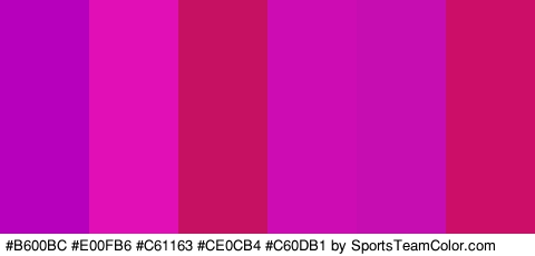 #B600BC #E00FB6 #C61163 #CE0CB4 #C60DB1 #CC0E69 Colors