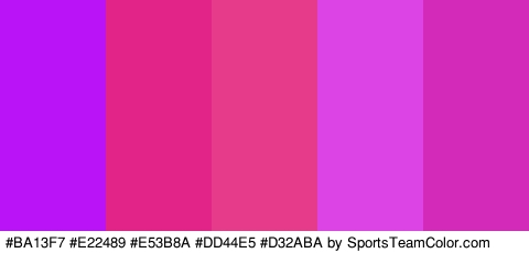 #BA13F7 #E22489 #E53B8A #DD44E5 #D32ABA Colors