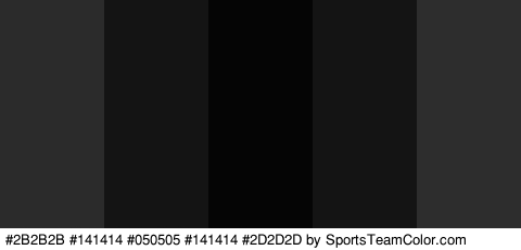 #2B2B2B #141414 #050505 #141414 #2D2D2D Colors