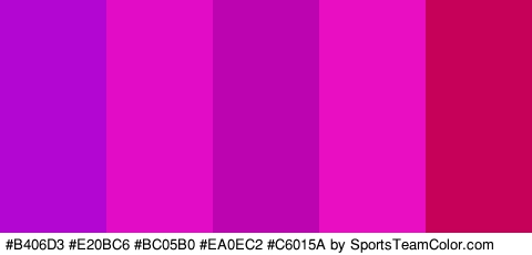 #B406D3 #E20BC6 #BC05B0 #EA0EC2 #C6015A Colors