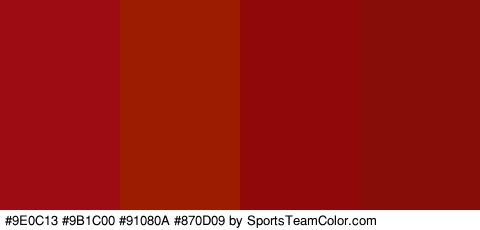 #9E0C13 #9B1C00 #91080A #870D09 Colors