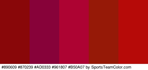 #890609 #870239 #AD0333 #961807 #B50A07 Colors