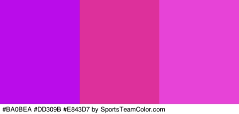 #BA0BEA #DD309B #E843D7 Colors